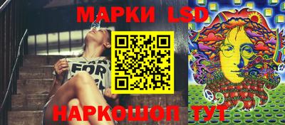 apvp Бердск