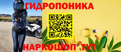 apvp Бердск