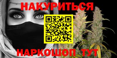 apvp Бердск
